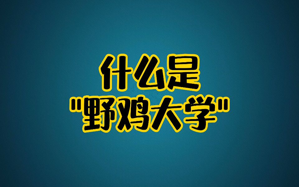 什么是“野鸡大学”哔哩哔哩bilibili