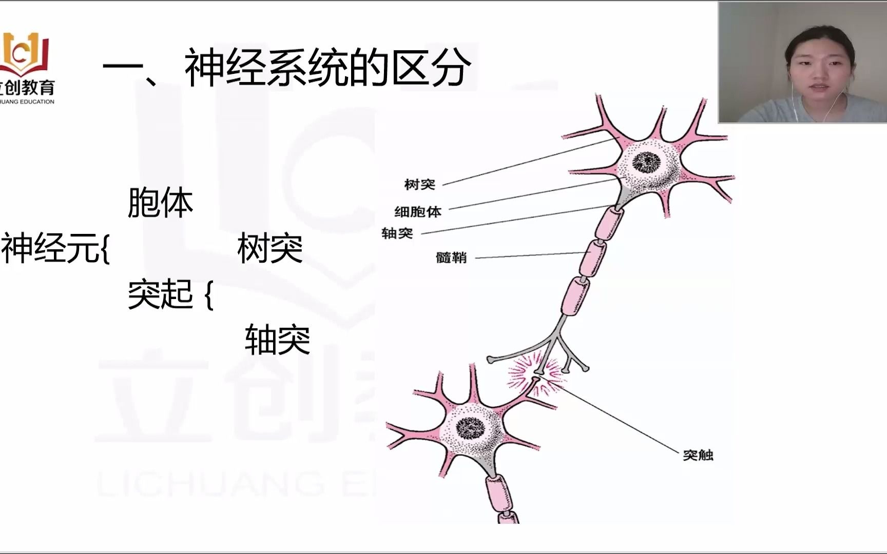 2022住院医师规范化培训结业考试神经内科医学实践技能+专业理论+辅助判读+纸质讲义+VIP全解析题库哔哩哔哩bilibili