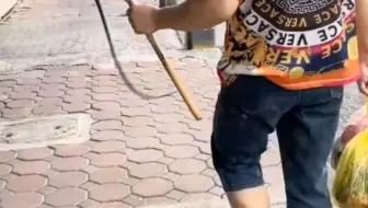 终于知道为什么出门要带鞭子了