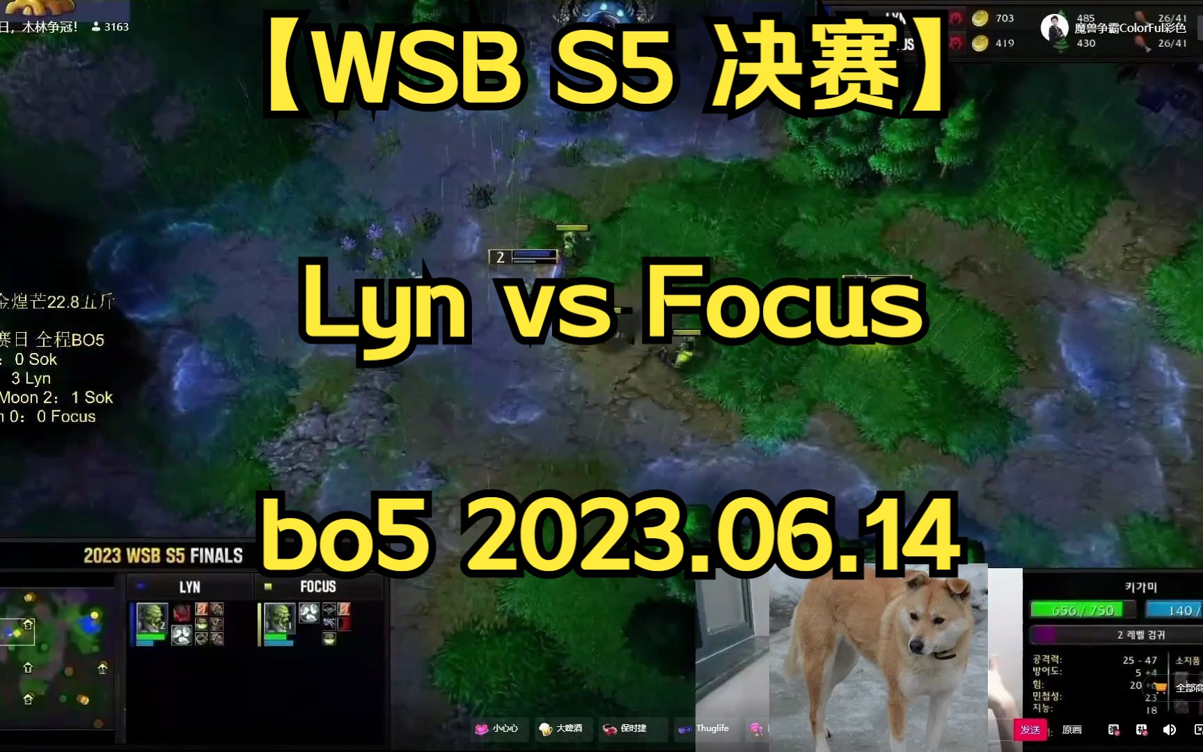 【WSB S5 决赛】bo5 Lyn vs Focus 兽族内战,劣势局Lyn团队操作强,翻盘 2023.06.14 【蔡依解说】哔哩哔哩bilibili魔兽争霸解说