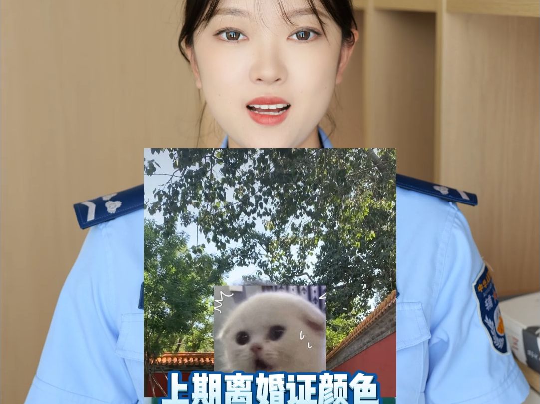 网上的不同颜色离婚证是伪造的吗?哔哩哔哩bilibili