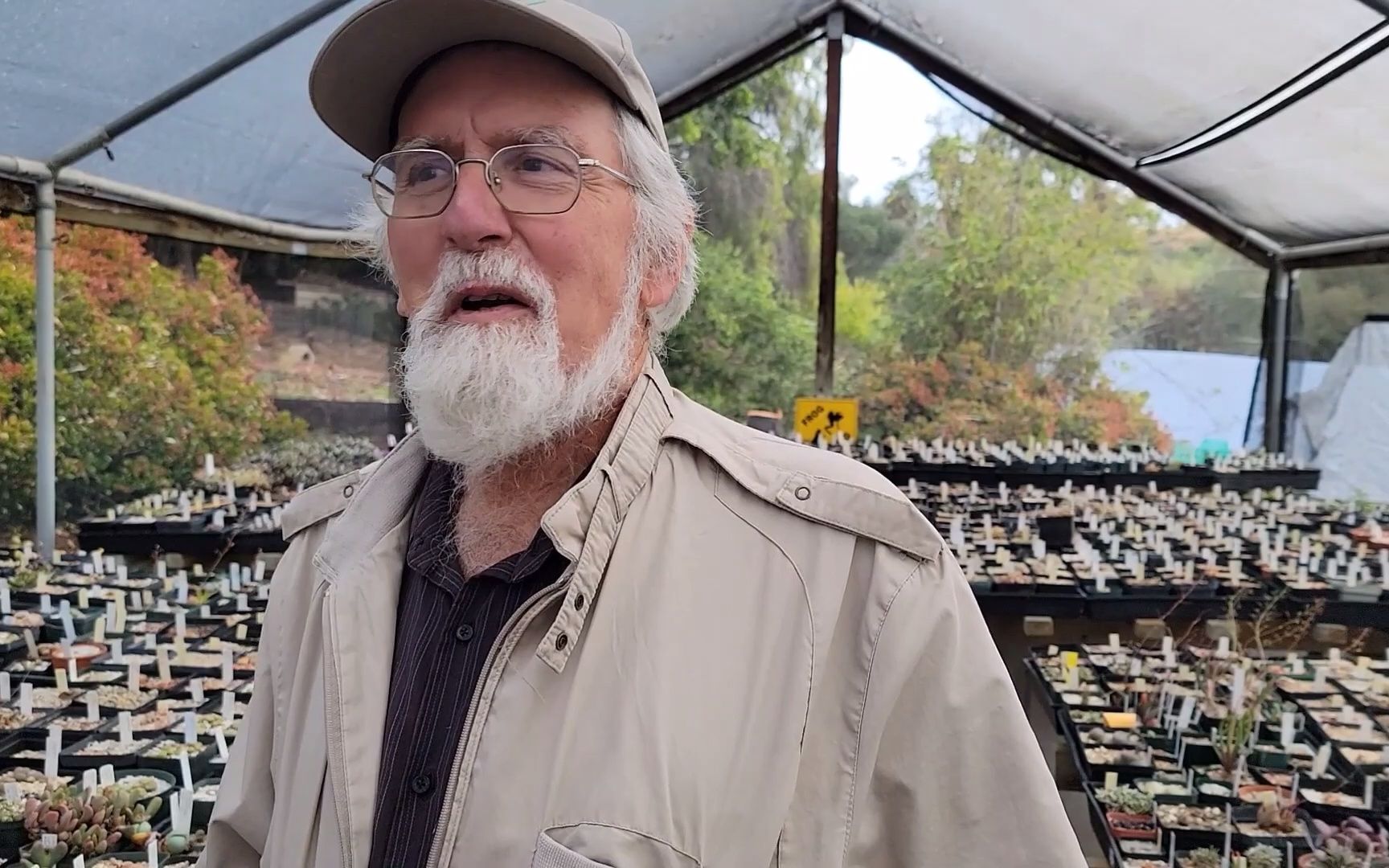 与史蒂文·哈默(steven hammer)关于种植生石花的对话_哔哩哔哩_bili