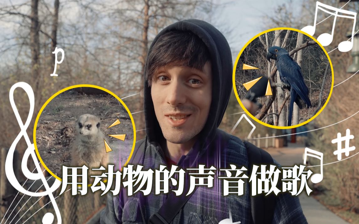 用动物的声音做shivers袋鼠鹦鹉谁才是真正的动物园好声音