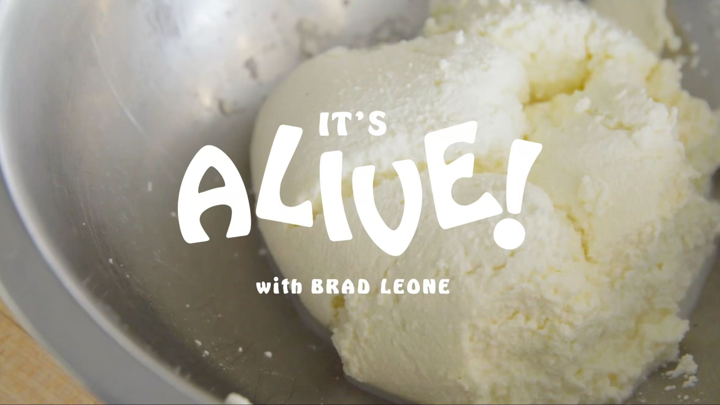 It's Alive With Brad |自制瑞塔奶酪的控温技巧大公开,一起做奶酪吧!哔哩哔哩bilibili