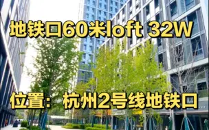 Download Video: 杭州地铁口60米，万科开发，精装修loft，楼下商业街繁华