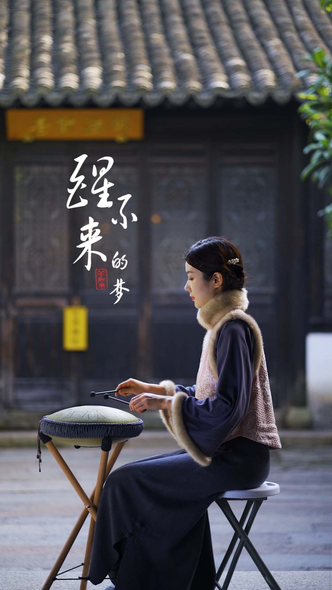 醒不来的梦,空灵鼓演奏#醒不来的梦 #空灵鼓 #音乐 #演奏