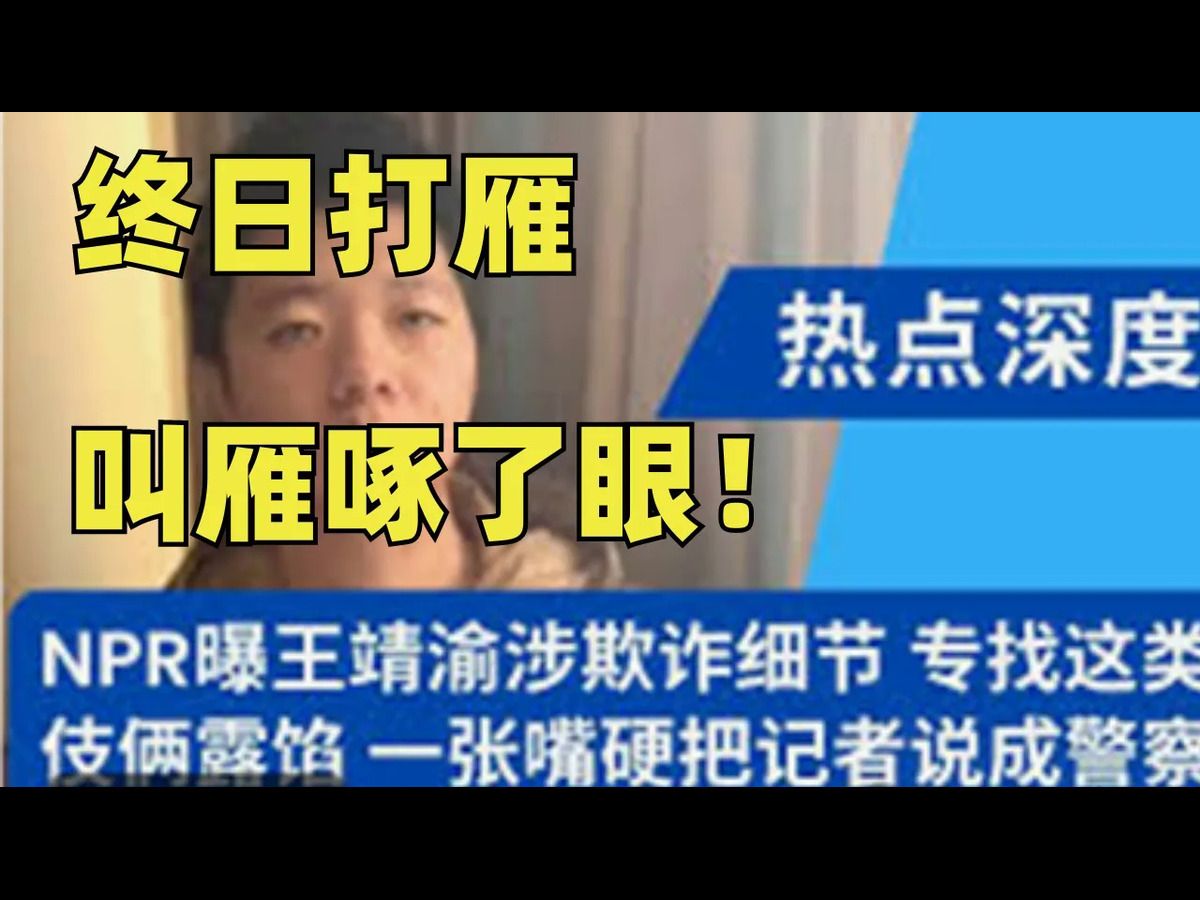 终日打雁,叫雁啄了眼!