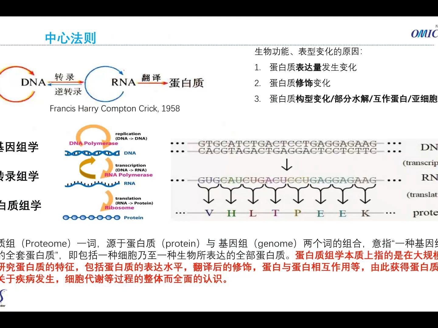 蛋白质组入门介绍哔哩哔哩bilibili