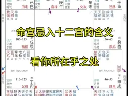 Video herunterladen: 命宫化忌入十二宫的含义，看你所在乎之处