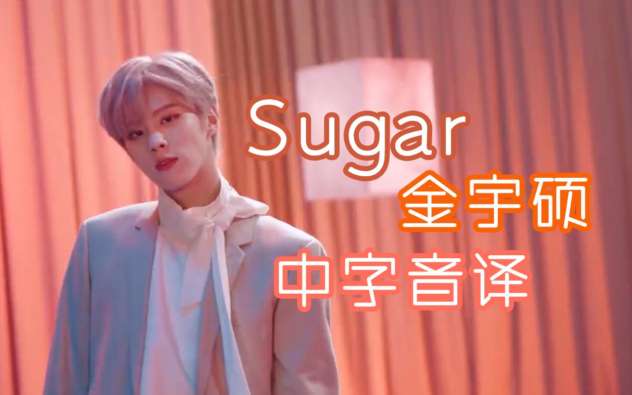 【金宇硕】全站最快《Sugar》中字音译哔哩哔哩bilibili