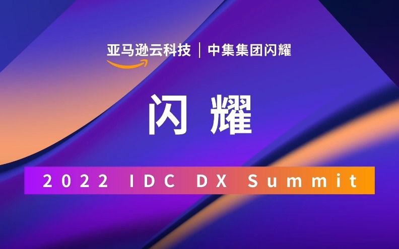 IDC第七届数字化转型年度盛典圆满结束!来看看未来数字基础架构领军者优秀奖花落谁家!哔哩哔哩bilibili