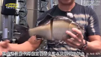 与deps奥村和正社长同船记 哔哩哔哩 Bilibili