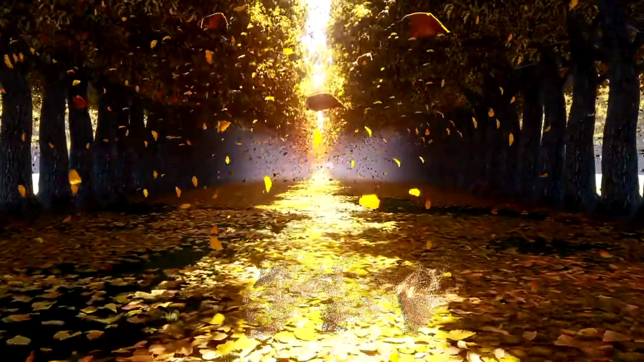 心静自然凉,还需要不断创造奇迹