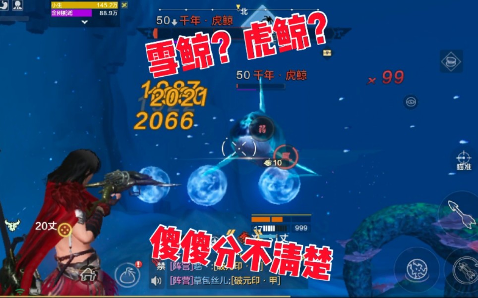 zb小生《妄想山海》狩猎千年虎鲸,外表傻傻分不清楚.