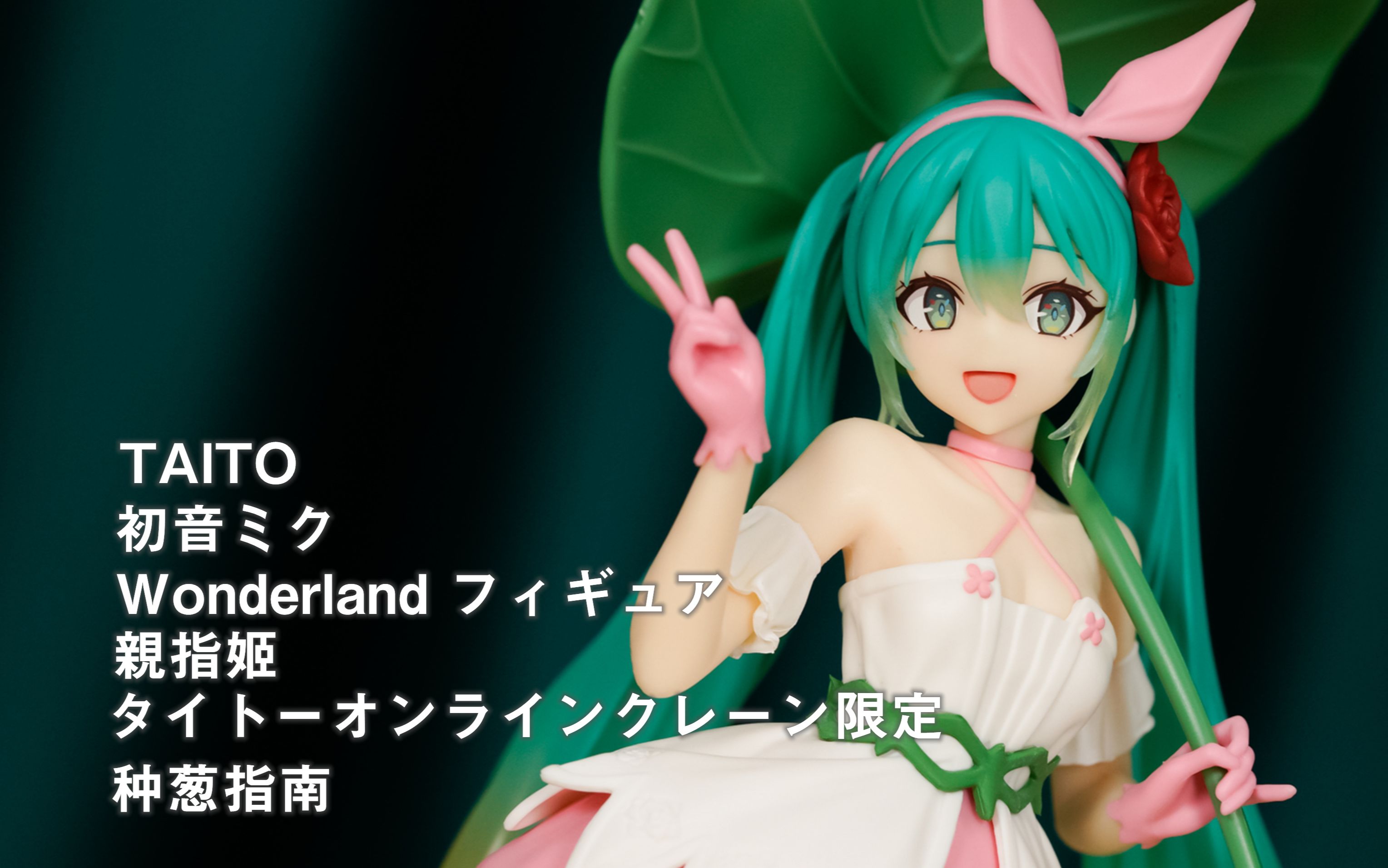 【种葱指南】taito 初音未来 仙境手办 拇指姑娘 taito网络娃娃机限定