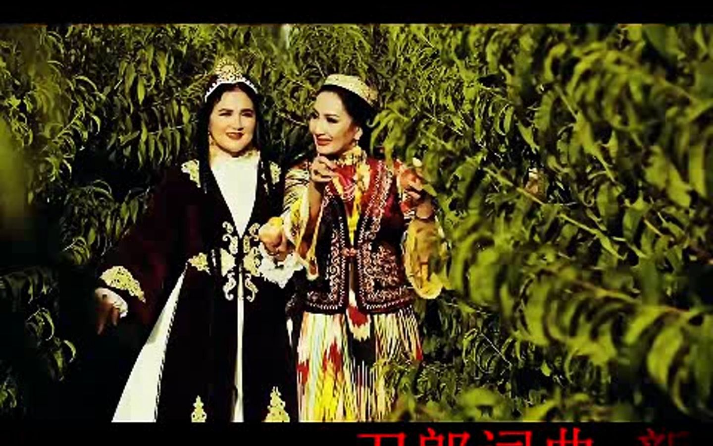 刀郎词曲 新阿瓦尔古丽 小锐二胡完整版