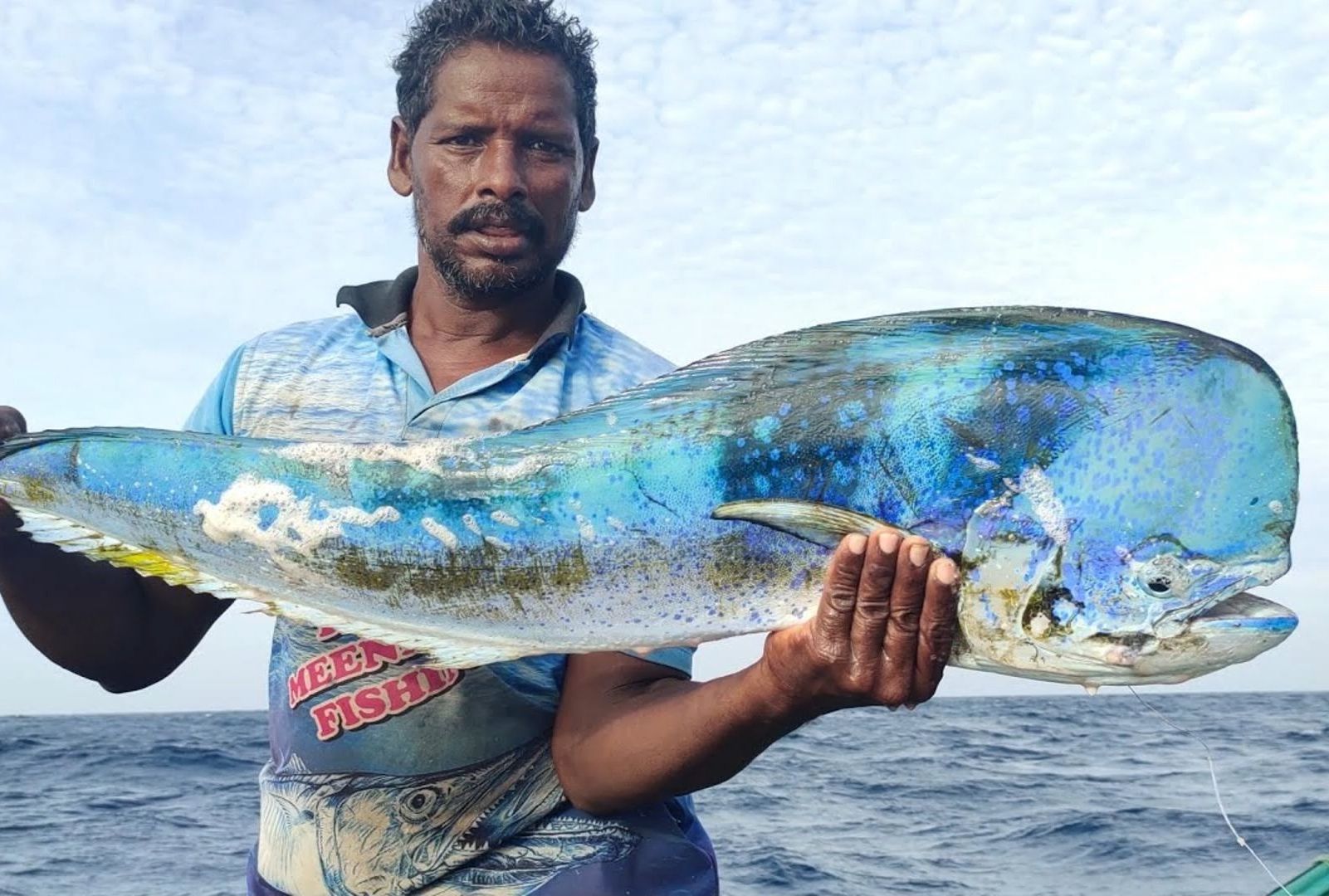 长线捕鱼|在海里钓到很多马哈鱼