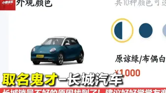 取名鬼才长城汽车，车漆取名“原谅绿”，真就是嫌销量太高是吧？