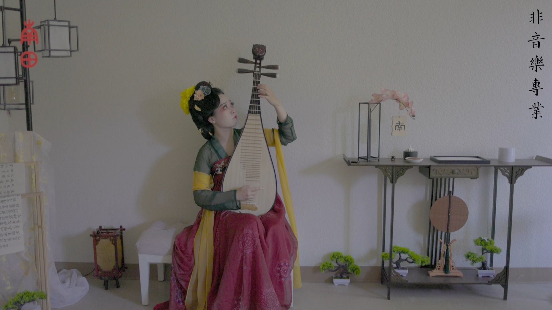 凤阁鸾|琵琶 《清平乐》电视剧《长安十二时辰》配乐片段翻奏