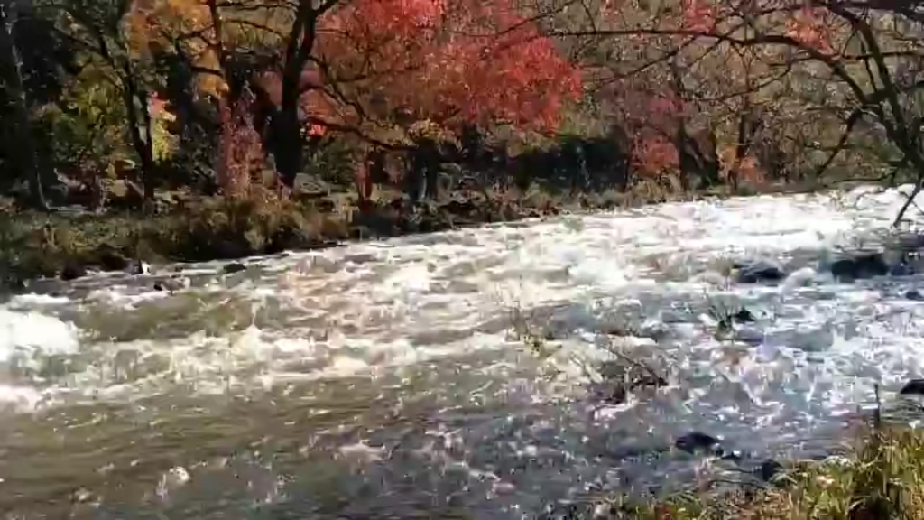 [图]告别九月的漫山遍野，迎接十月的云卷云舒。伴着一枕清霜，跟着悄悄落下的叶子，十月翩跹而至。