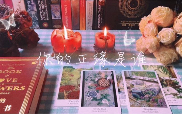 [图]【Lilith Tarot】预测你的正缘信息（超详细版本）