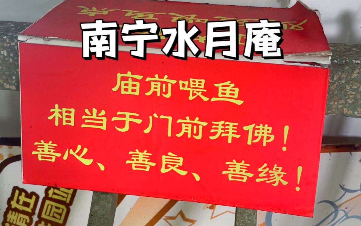 庙前喂鱼相当于门前拜佛:南宁水月庵,一座藏在闹市的寺院哔哩哔哩bilibili