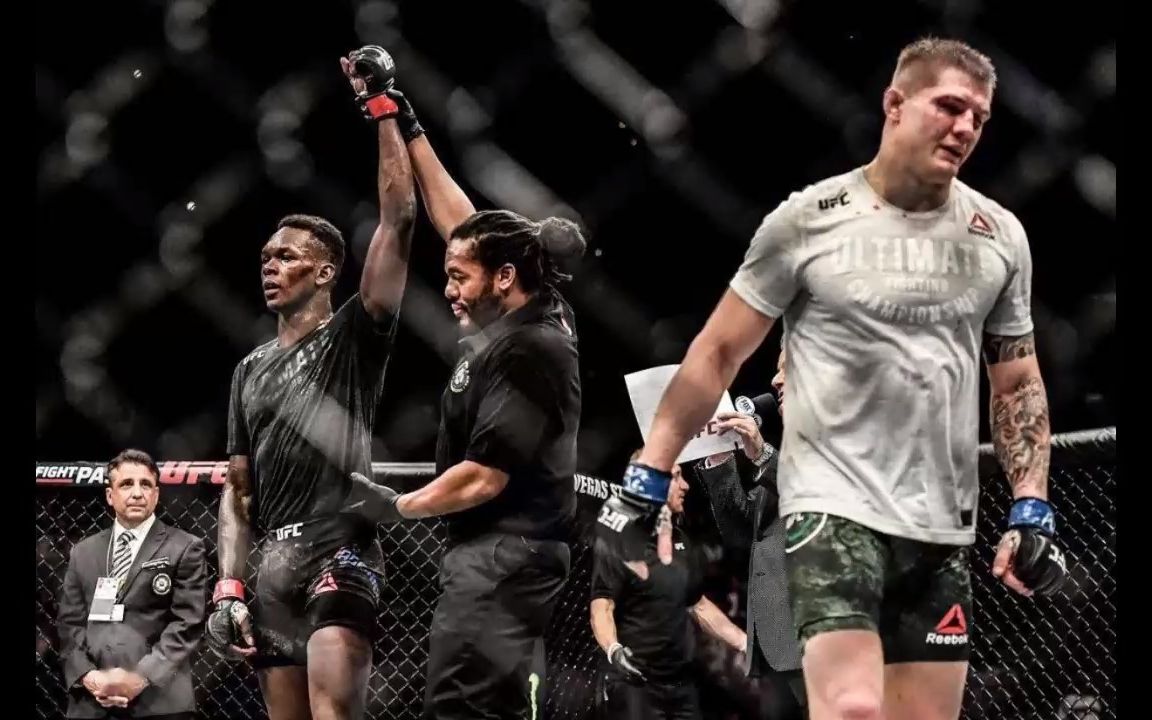 ufc295官方正在直播:普罗哈兹卡vs佩雷拉全程(中文)在线高清观看