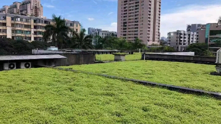 屋顶绿化 西安临潼楼顶绿化节能隔热,种植营养土腐殖土,西安易绿谷屋顶绿化是集房顶绿化屋顶绿化,楼顶绿化,房顶隔热,楼顶隔热;庭院绿化,道路绿...