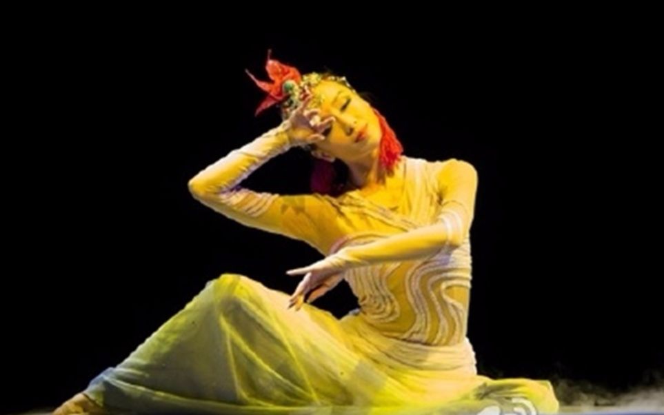 臂肢为莲,真言做雨——上海歌舞团女子独舞 梵音度