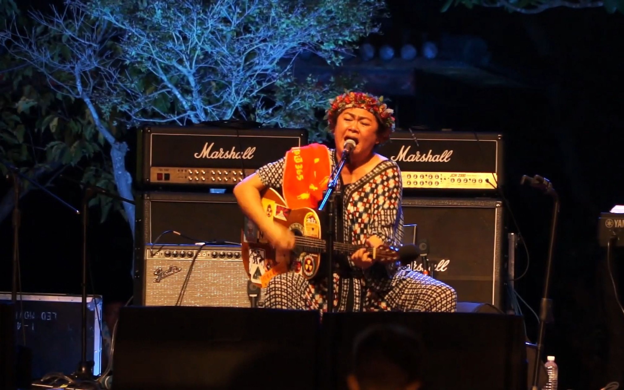 巴奈-巴奈流浪记