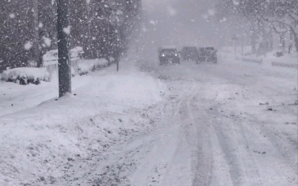 [图]这雪终于要停了歇一歇了