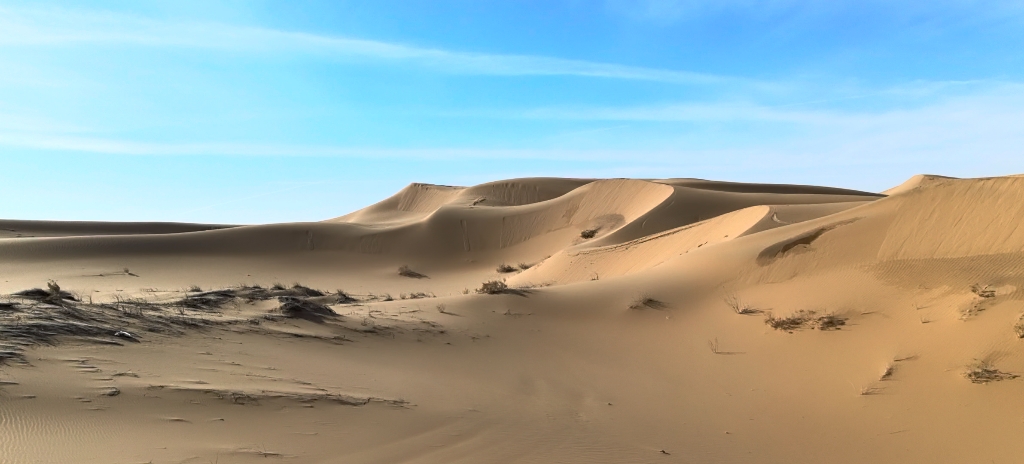 中卫沙坡头景区沙漠冲浪车,尖叫声和大风声纯享第一视角版