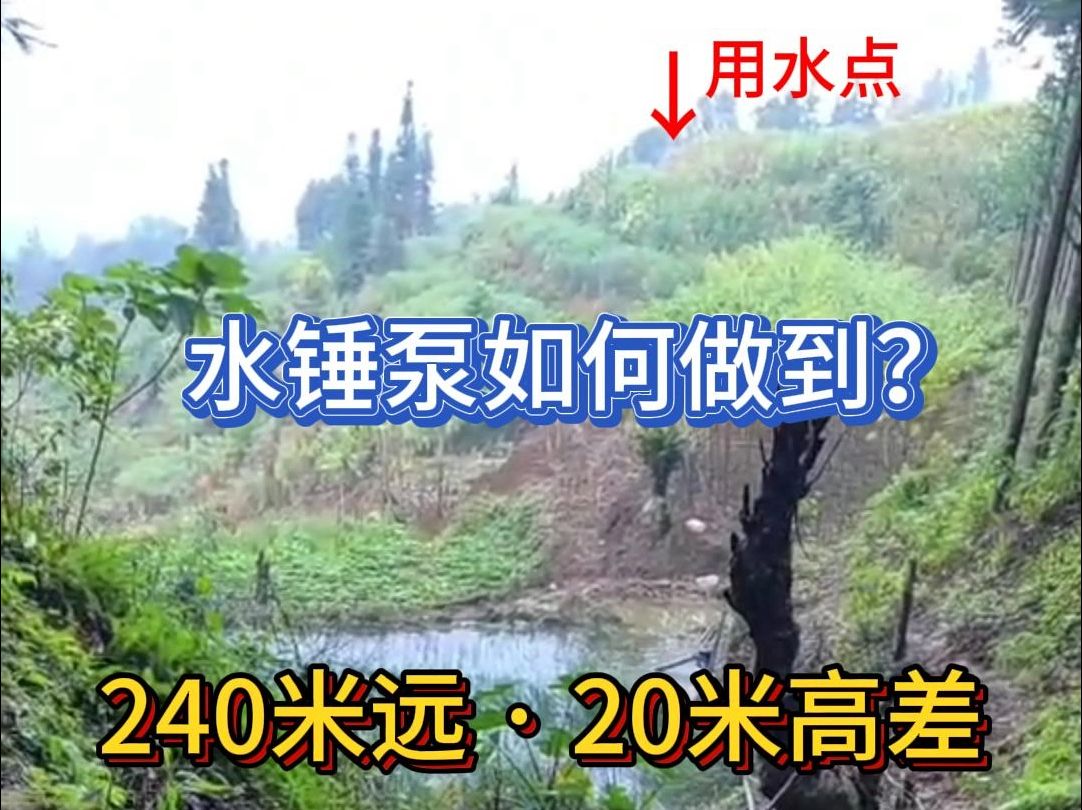 不用电,不用油,240米远的泉水轻松抽上去!云南山村粉丝安装水锤泵演示!哔哩哔哩bilibili