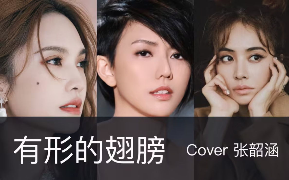 你听过杨丞琳和蔡依林唱《有形的翅膀》吗?