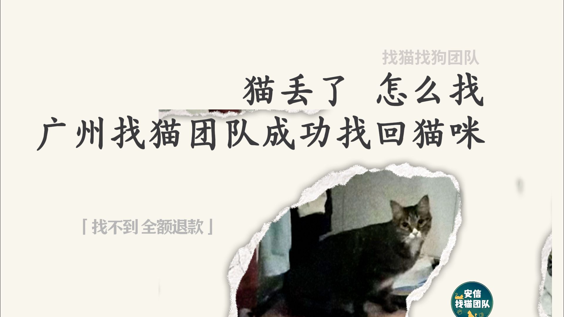 广州找猫团队联系方式 成功找回 猫丢了怎么找 猫丢了怎么办 找猫找狗团队 找猫团队 寻猫团队 专业找猫找狗团队 宠物侦探哔哩哔哩bilibili