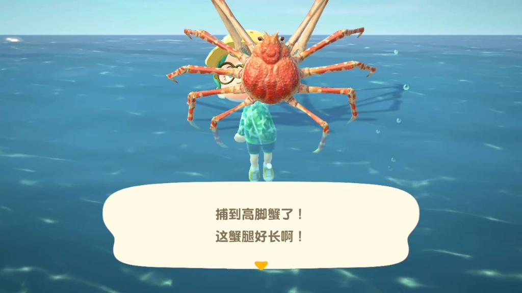 [动森]抓到只超大的高脚蟹