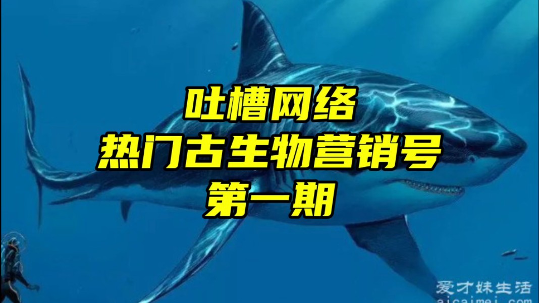 吐槽网络热门古生物营销号第一期哔哩哔哩bilibili