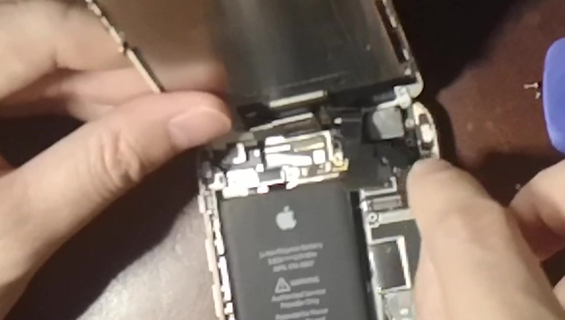 第一次拆解苹果iphone6手机,如果滑丝了用胶棒试试,也许能救活哔哩哔哩bilibili