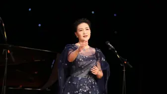 Tải video: 【雷佳】《芦花》《天边有颗闪亮的星》240905永远的小白杨公益音乐会北京