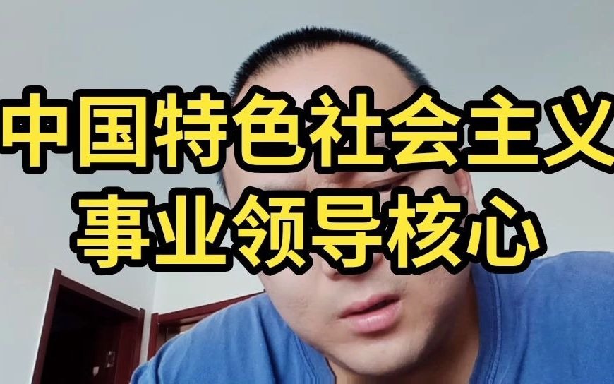 中国特色社会主义事业领导核心哔哩哔哩bilibili