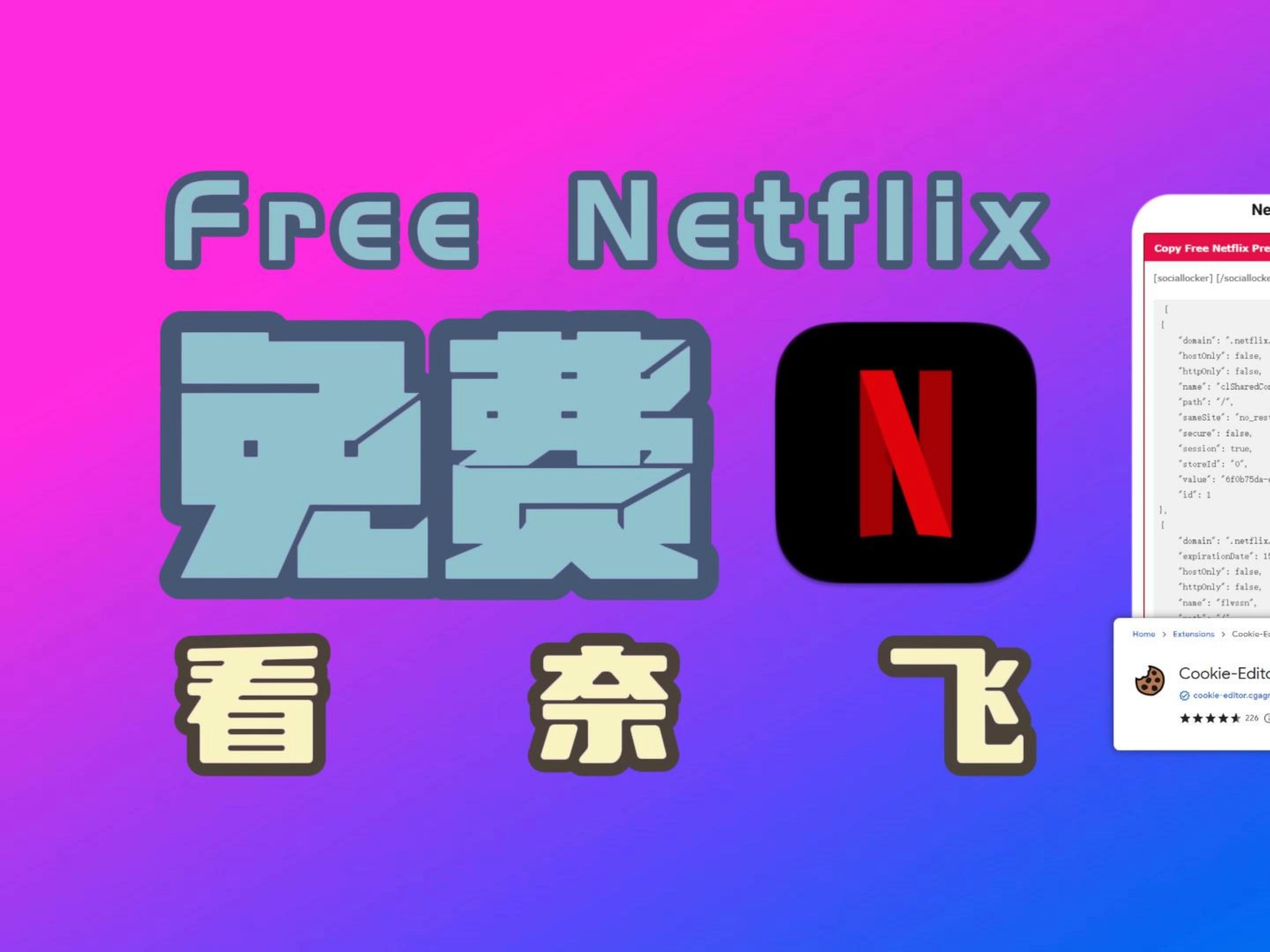 如何通过Netflix cookies实现免费的奈飞观看哔哩哔哩bilibili