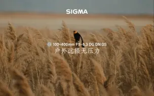 Download Video: 【外媒】100-400mm F5-6.3 DG DN OS 无惧户外环境，自然轻松定格