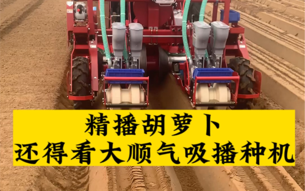 精播胡萝卜还得看大顺气吸播种机