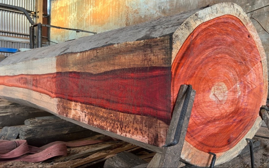 工厂锯制红香木-原木制品,精良的锯木厂极致技术