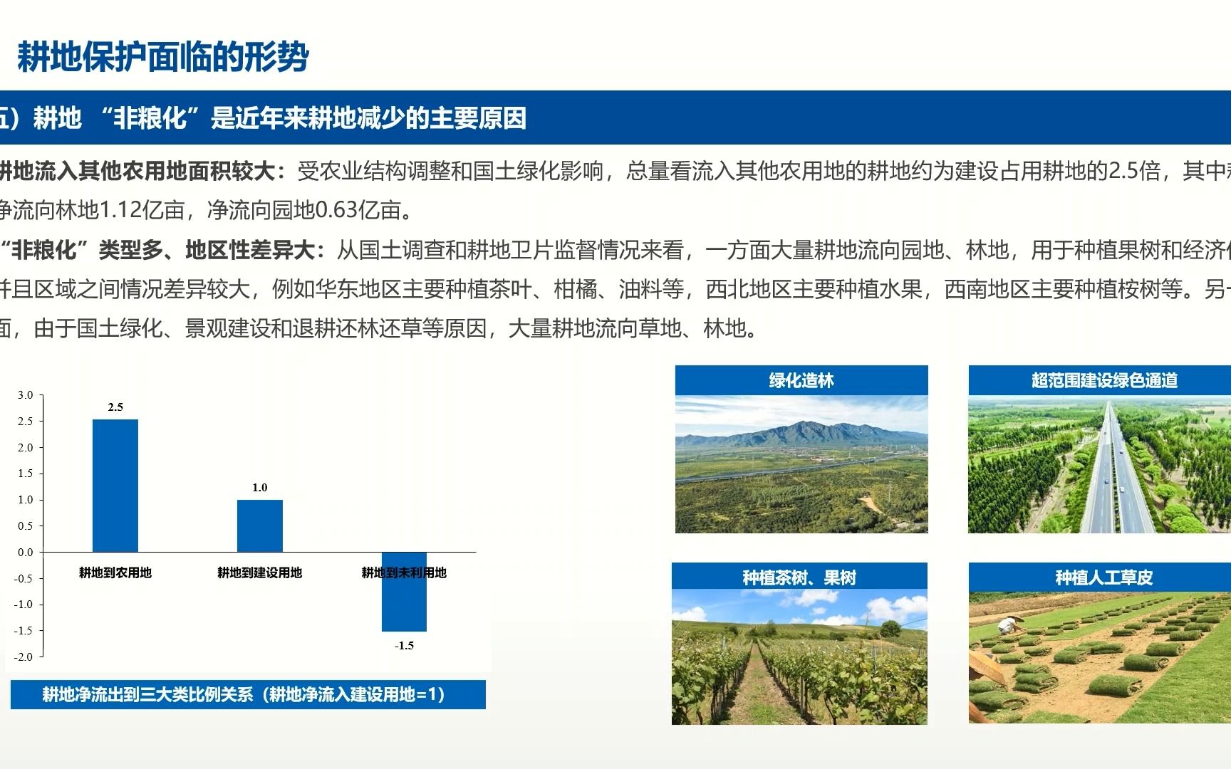 肖飞我国耕地保护面临的形势与落实耕地“进出平衡”的思考哔哩哔哩bilibili