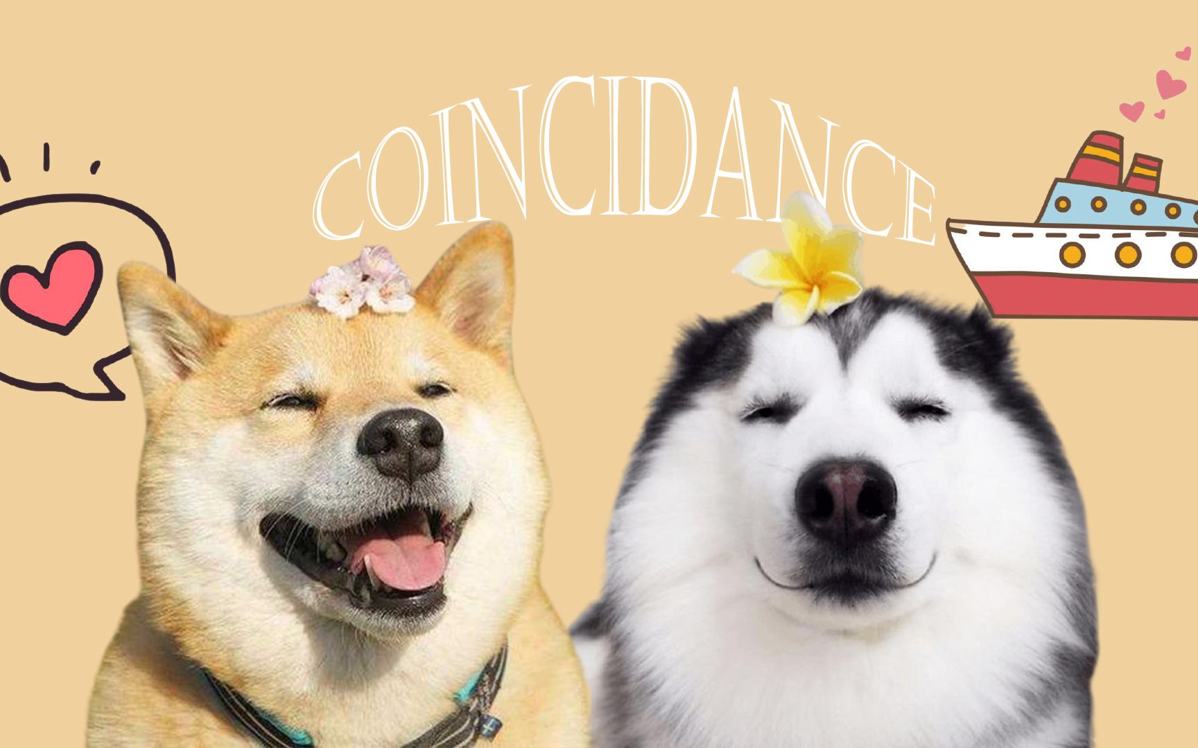 【甜奶/柴哈/野狼/coincidance抖肩舞】每天一遍,快乐无限;甜奶跳舞