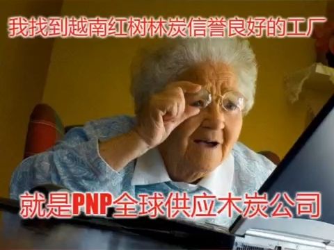 PNP Global Supply 快速联系PNP公司以获得最优惠的红树林炭价格哔哩哔哩bilibili