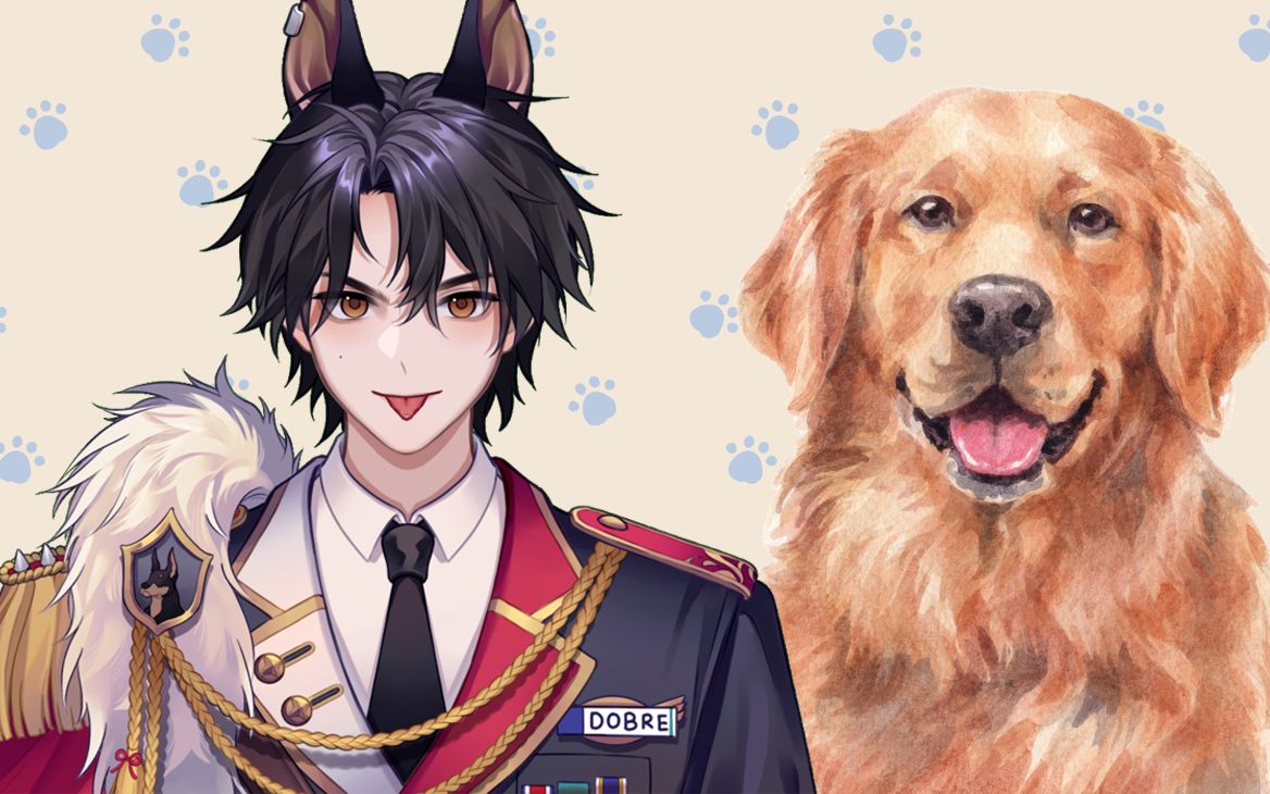 【Dobre的狗狗百科】第24期【金毛寻回犬(Golden Retriever)】哔哩哔哩bilibili