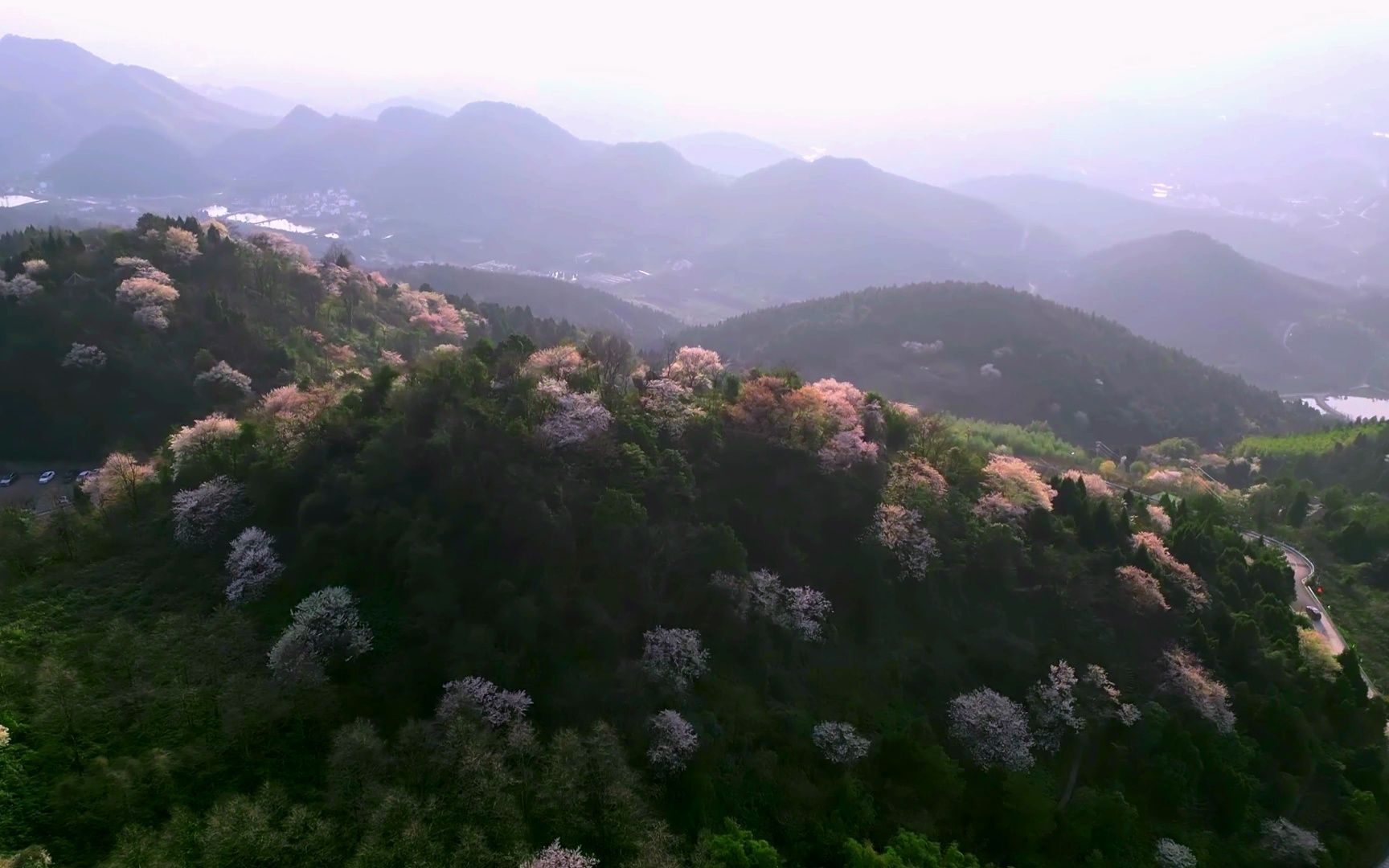 【原创】【微视频】重庆渝北云龟山万亩野樱花已经上线(视频拍摄于2023年3月4日)哔哩哔哩bilibili