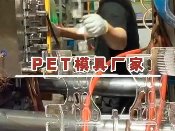 pet注塑模具厂家 台州模具塑胶模具生产厂家模具定制制造厂家注塑